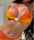 Bikini 2 Pièces Dégradé