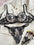 Ensemble lingerie fleur – transparence et finesse