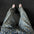 Jean Homme Casual  Coupe Droite & Poches Fonctionnelles