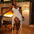 Robe Sexy Dos Nu Ruban